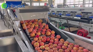 Commercial Apple Farm Processing Factory,Fruit Optical Sorting Grading Line, Apple Sorter Machine