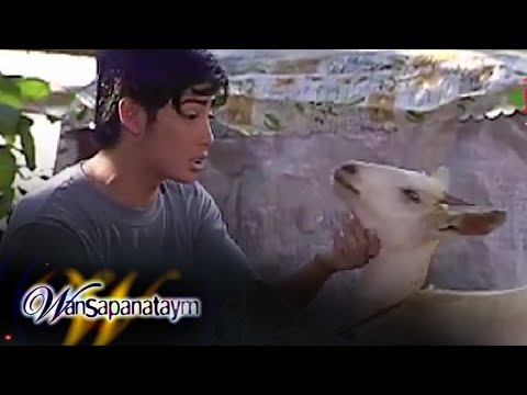 Wansapanataym: Kambing Alone feat. Danilo Barrios/ Camille Prats (Full Episode 172) | Jeepney TV