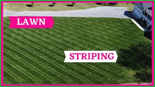 How To Stripe A Lawn Without a Roller | Lawn Striping Techniques | PPLM