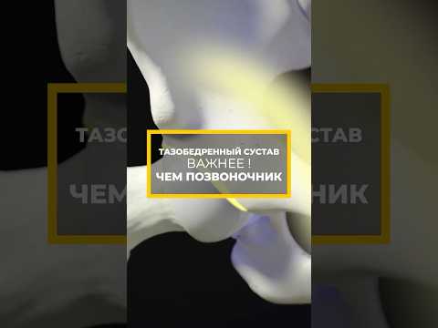 ЭТОТ СУСТАВ ВАЖНЕЕ, ЧЕМ ПОЗВОНОЧНИК