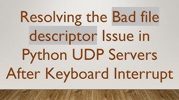 Resolving the Bad file descriptor Issue in Python UDP Servers After Keyboard Interrupt