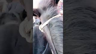 картинка: 5 ноября 2025 г.