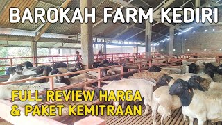 HARGA DOMBA TERBARU BAROKAH Farm Kediri🔥🔥