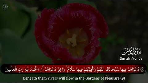 الشيخ محمد اللحيدان يحبّر الآيات بنبرته المعهودة (من سورة يونس).