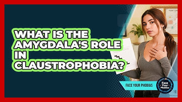 What Is The Amygdala