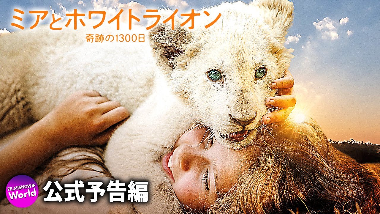 映画 ミアとホワイトライオン 奇跡の1300日 予告編 Youtube