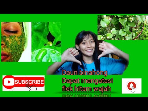 Video: Flek Hitam Pada Daun - Mengobati Flek Hitam Daun