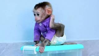 Omg, Monkey Vicky, Charly Clutter Up The House 2