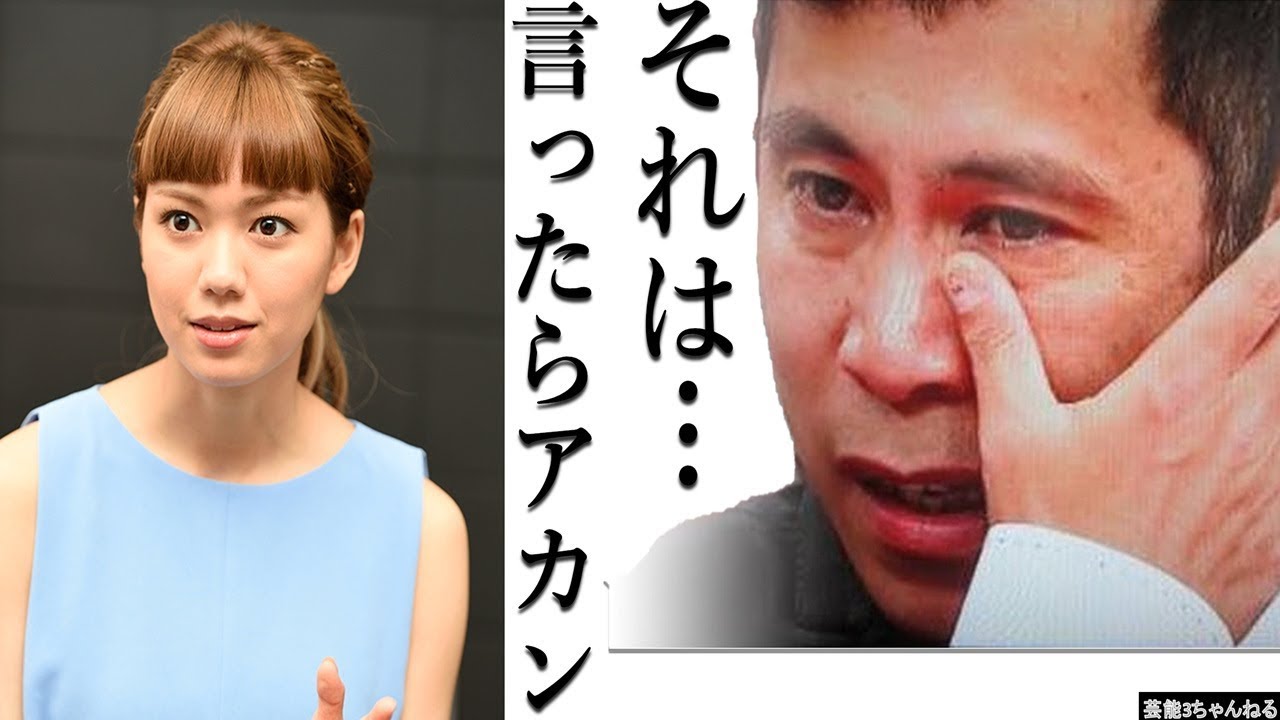 ぐるナイの動画 画像 動画検索 マイルドサイト