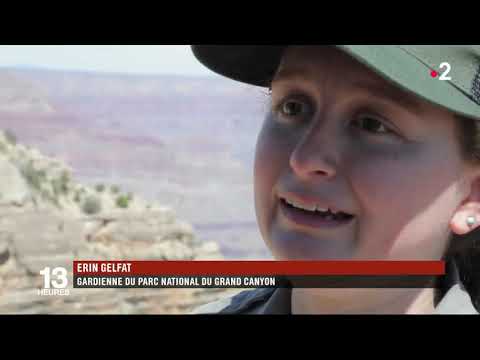 Vidéo: Quelle est la géologie du Grand Canyon ?