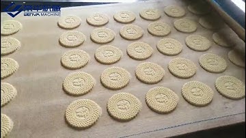 WENVA 400 Tray Type Soft Biscuit Forming Machine