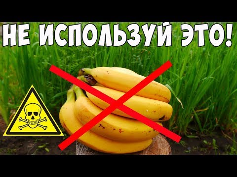 Видео: Съедобна ли банановая кожура?