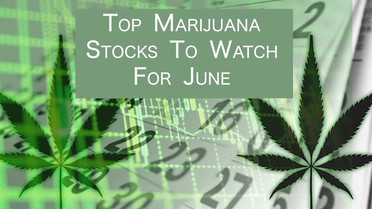 Top Marijuana Stocks To Watch For June