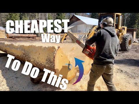 Cutting Logs in Half Because They’re Too Big