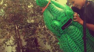 The Croc