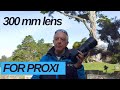 How to use a 300mm lens for proxiphotography