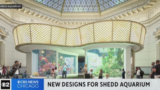 New 500 M Redesign Of Chicagos Shedd Aquarium Unveiled
