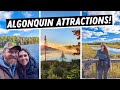 15 things to do at algonquin provincial park  camping at algonquin  ontario camping