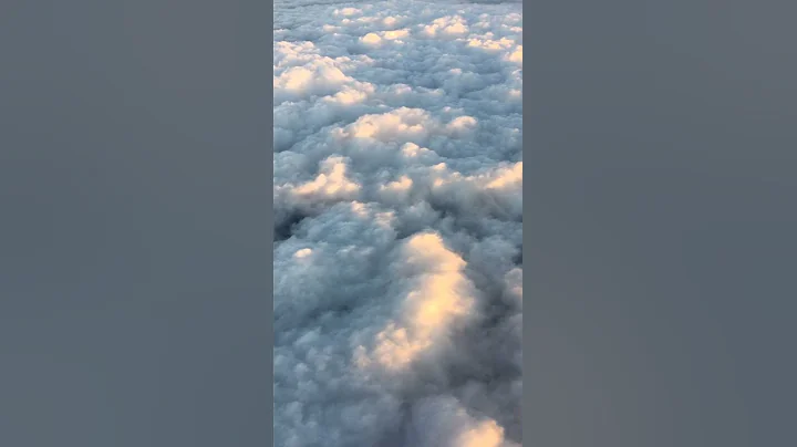 Plane Flying Above The Clouds #shorts