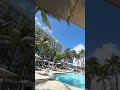 The view in Miami is beautiful ✨💜 #musicbusiness #lifeisbutadream #poolparty #babyrapgod