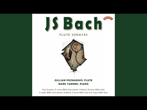 Sonata In G Minor, BWV 1020: I. Allegro