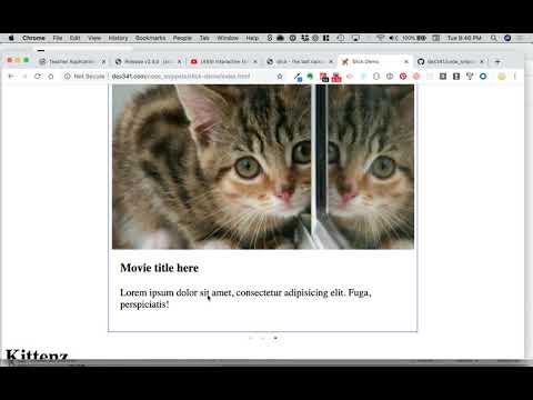 Slick.js Demo on