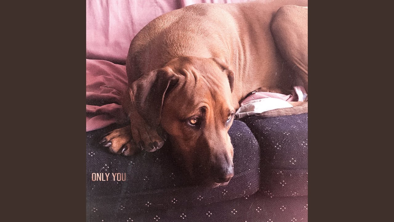 Watch Only You on YouTube Watch Only You on YouTube
