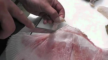 How do you remove skin from skate wings?