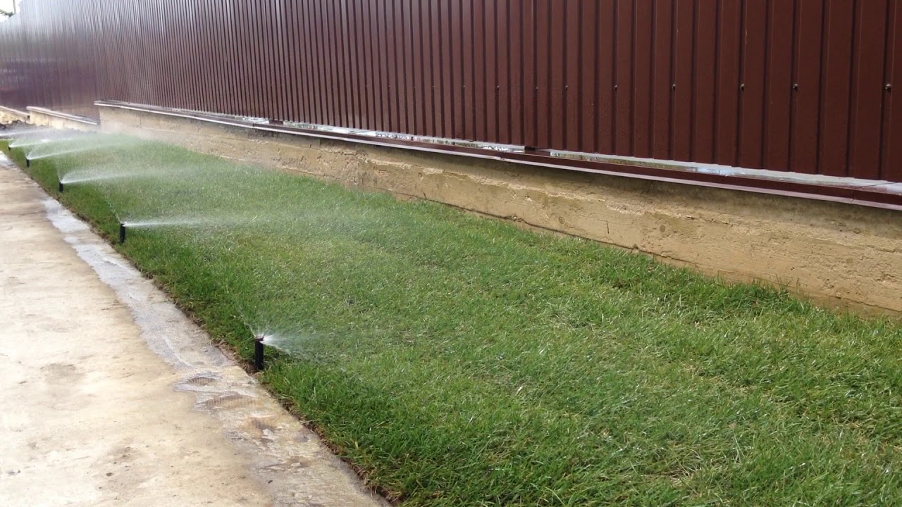 Работа дождевателей Хантер - YouTube