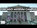 BEST CHICAGO MUSEUMS!! Adler Planetarium, Shedd Aquarium, &amp; Field Museum Campus Chicago Tour