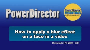 How to apply a blur effect on a face in a video