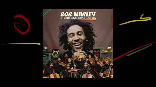 Video thumbnail of "Turn Your Lights Down Low – Bob Marley and The Chineke! Orchestra (Visualiser)"