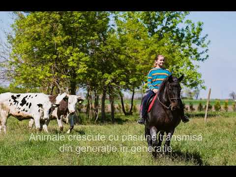 Video: Cum Se înlocuiesc Produsele Lactate