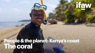 Can a fisherman become a coral restorer?