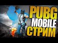 ТРЕНИРОВКА С КОМАНДОЙ! ИГРА С ПОДПИСЧИКАМИ И ПО ФАНУ В PUBG MOBILE! СТРИМ ПАБГ МОБАЙЛ!