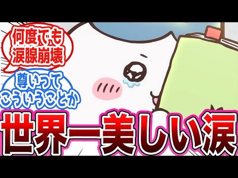 【ちいかわ】ちいかわとハチワレの友情に尊い気持ちが爆発したみんなの反応集【アニメ】