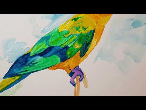 Watercolor Speed Painting – SUN CONURE Parrot!