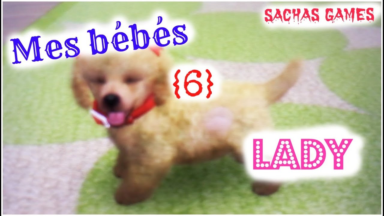 {Nintendogs +Cats} Mes bébés {6} Spéciale Lady #VC1 ♡ - YouTube