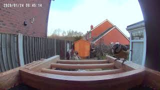 Bird Cam 24012026 - Blue S