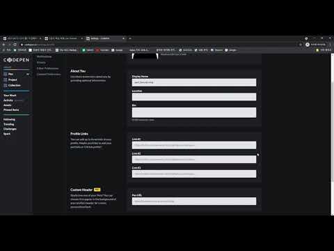 codepen 사용법
