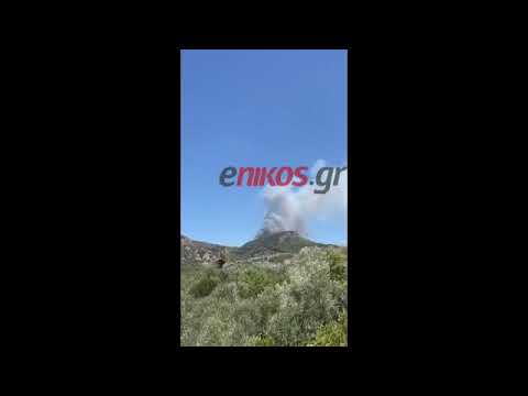 enikos.gr -Φωτιά στα Μέγαρα: Εκκενώνεται οικισμός - Nέες ΦΩΤΟ και ΒΙΝΤΕΟ αναγνώστη
