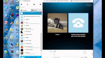 Prank Calls with Skype Part 2 READ DESCRIPTION!
