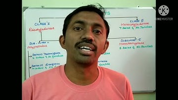 Bentham and Hooker Classification