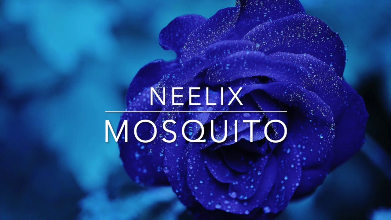 Neelix - Mosquito (Original Mix)