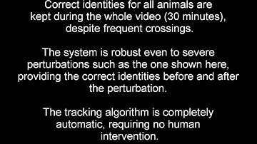 Multitracking robust to perturbations