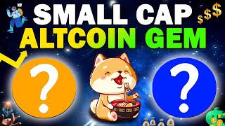 SMALLCAP ALTCOIN GEM - SHIBAPUP