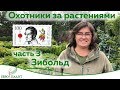 Охотники за растениями.Часть 3. Филипп Франц фон Зибольд.