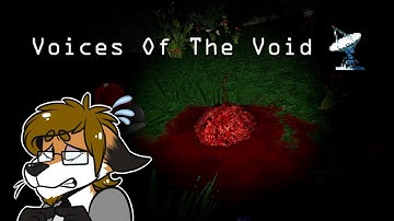 Can you hear the Voices of the Void? - Part 2