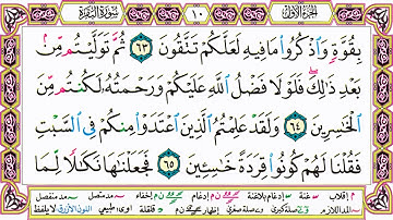 القرآن الكريم مقسم صفحات   الشيخ حاتم فريد   سورة البقرة   صفحة 10 مكتوبة   مصحف التجويد الملون HD 7
