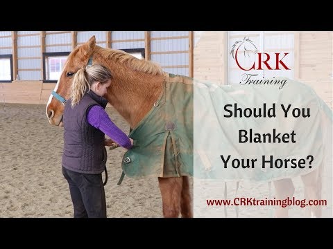 Video: Moet je je paard deken maken?